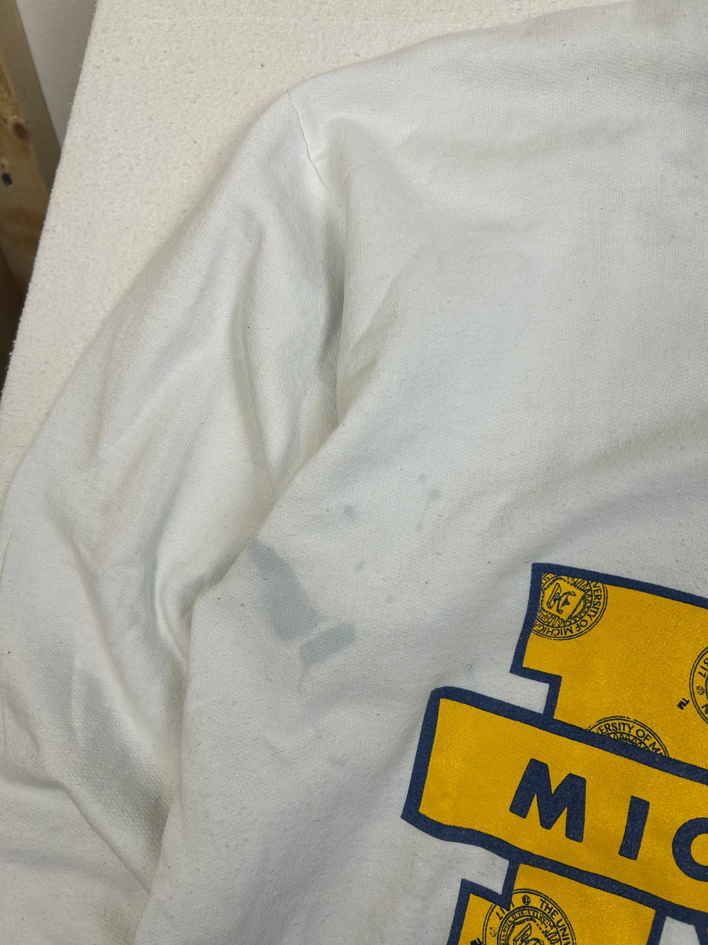 Vintage Betty Boop Michigan Crewneck