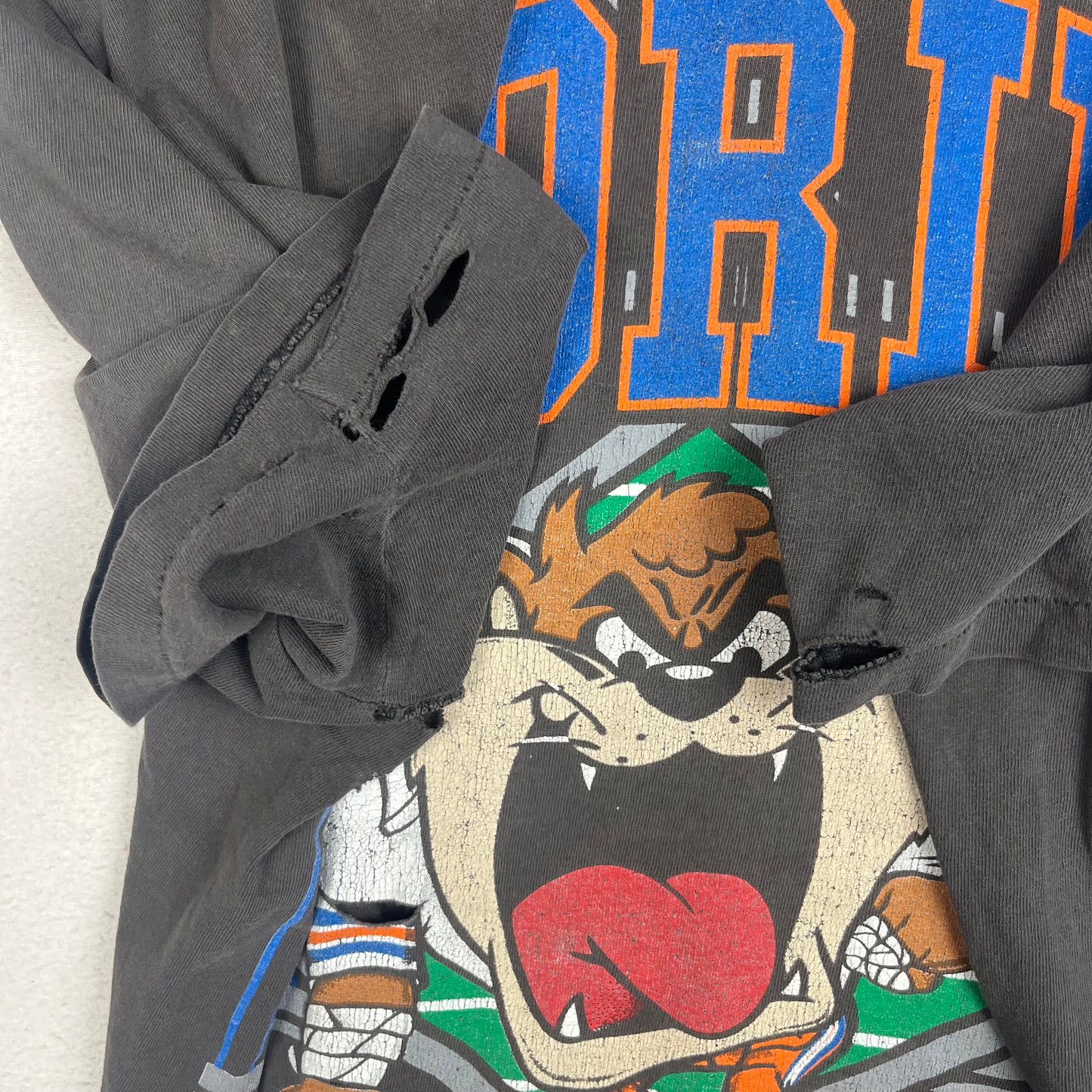 Vintage Taz Florida Gators Tee