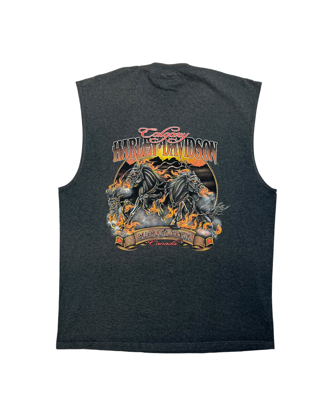 Harley Davidson Save A Horse Tank Top